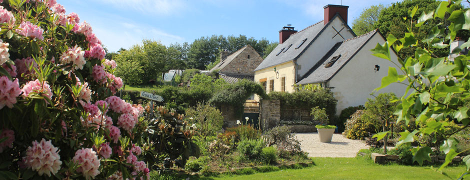 Elevage de Shetland de Goazilec en Bretagne